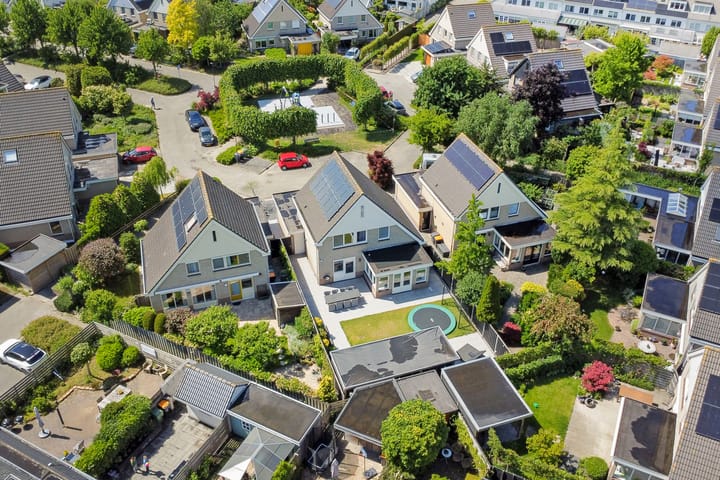 Foto 41 van Gele Varaan 30