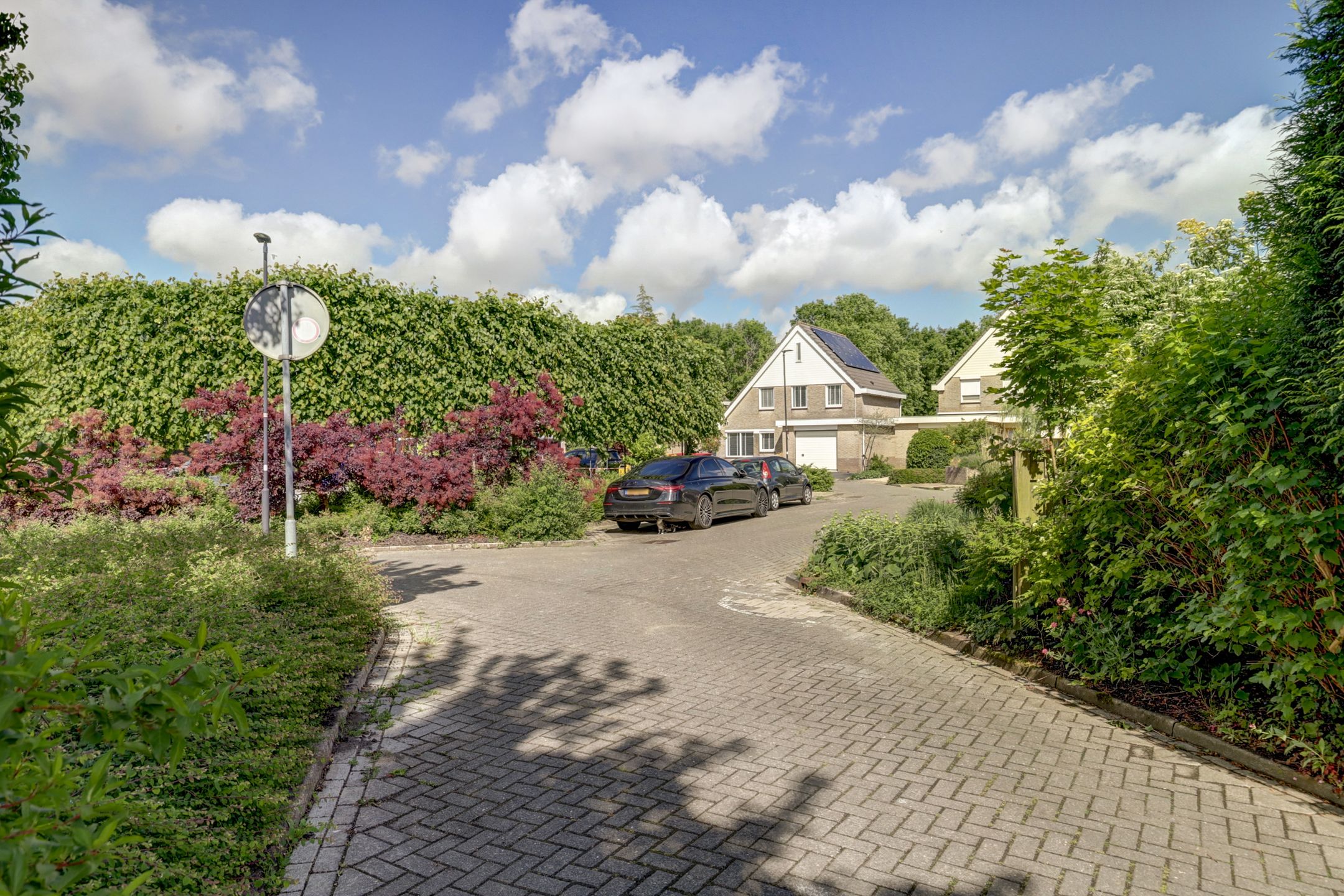 Foto 42 van Gele Varaan 30