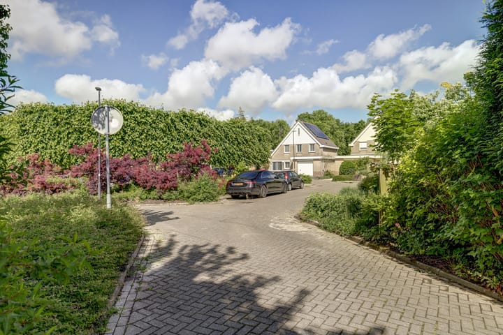 Foto 42 van Gele Varaan 30