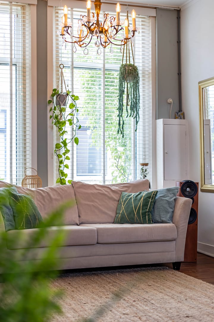 Foto 10 van Plantsoenstraat 5