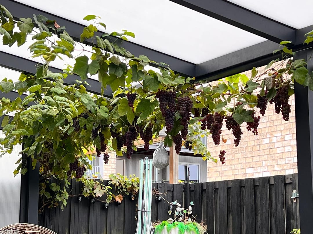 Photo 16 of Zuiderkeerkring 70