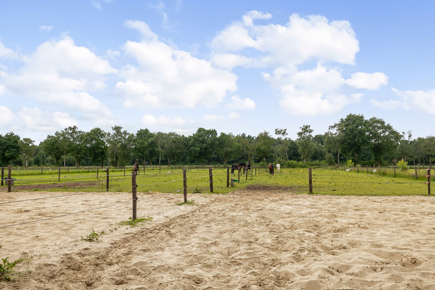 Photo 70 of Wolsbergerweg 18