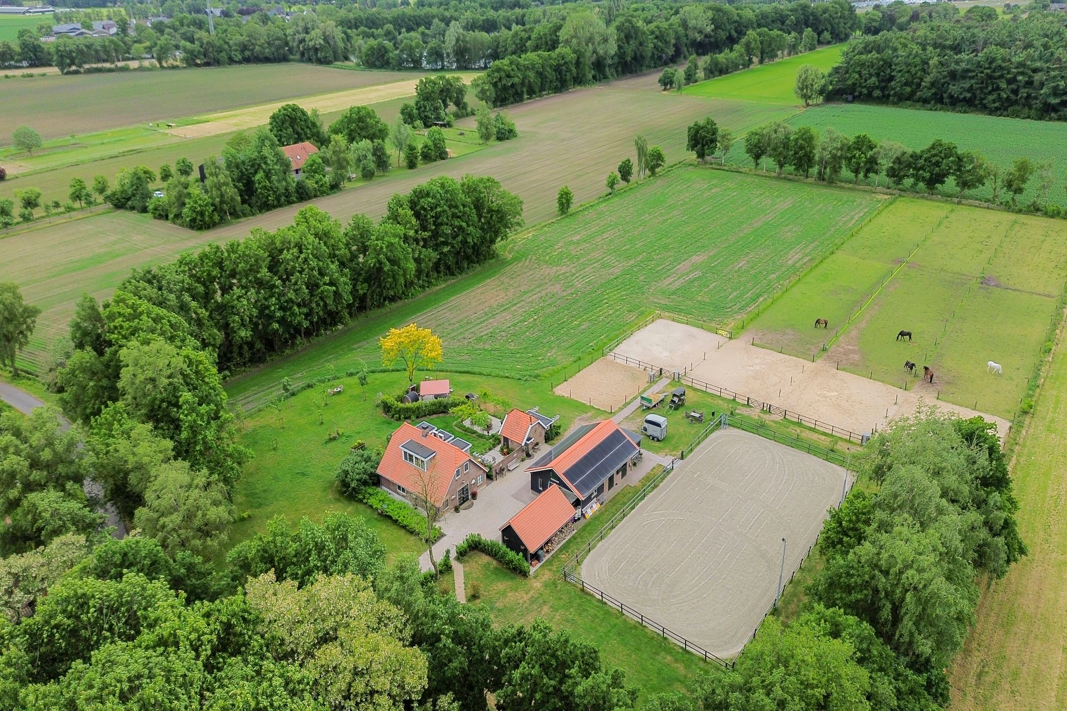 Photo 75 of Wolsbergerweg 18