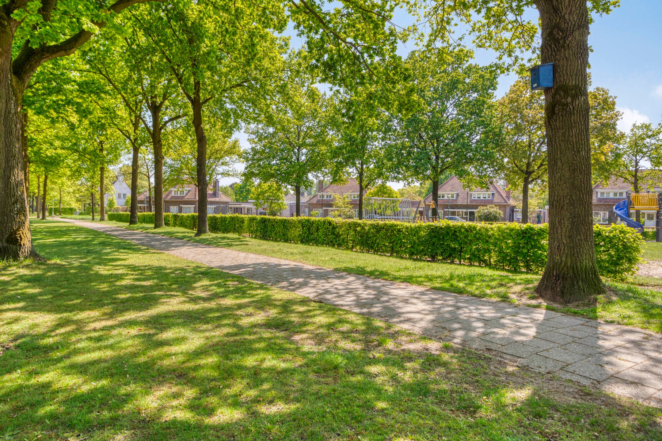 Foto 36 van Burgemeester van der Weidenlaan 56