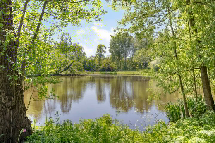 Foto 38 van Burgemeester van der Weidenlaan 56