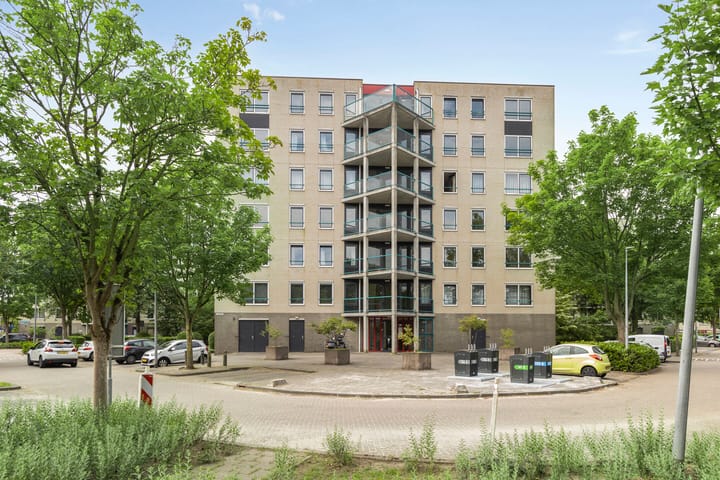 undefined main image