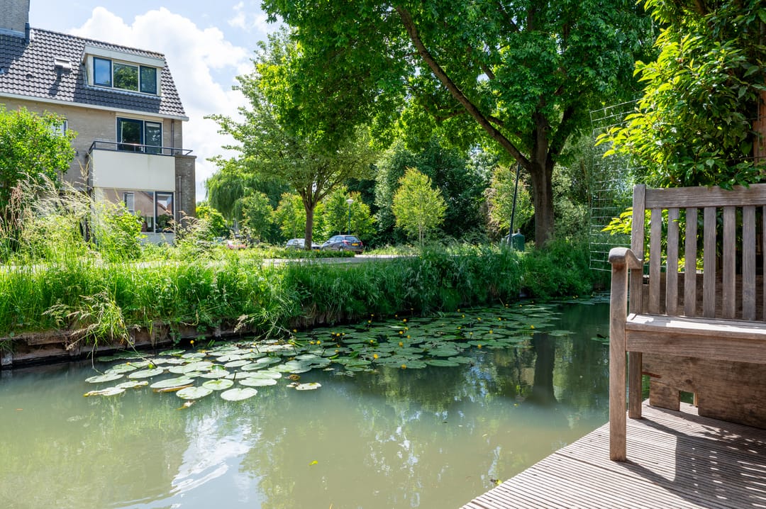 Foto 47 van Kievitsbloem 12