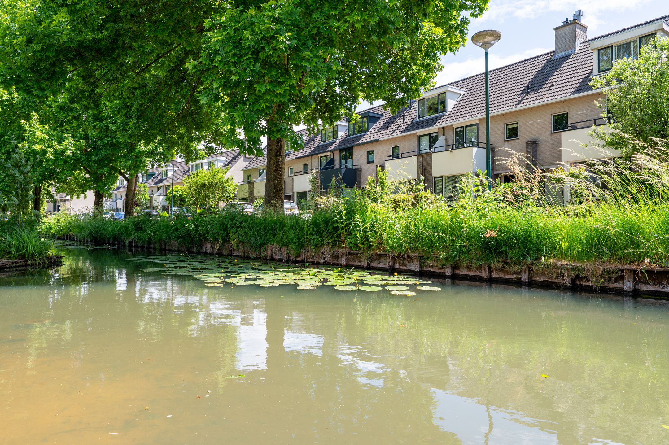 Foto 48 van Kievitsbloem 12