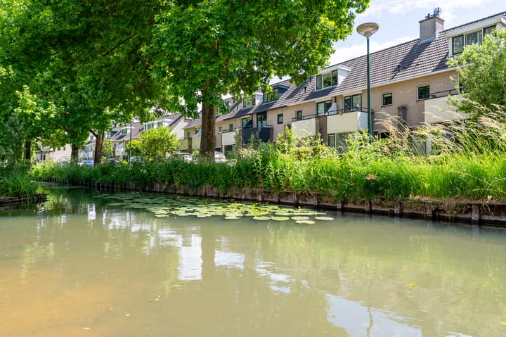 Foto 48 van Kievitsbloem 12