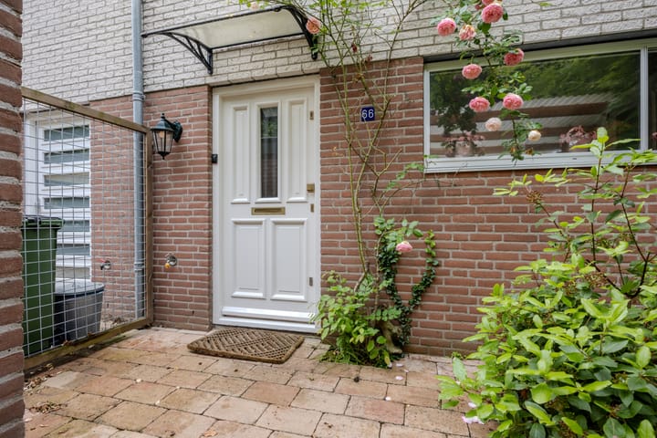 Foto 4 van Koningsholster 66