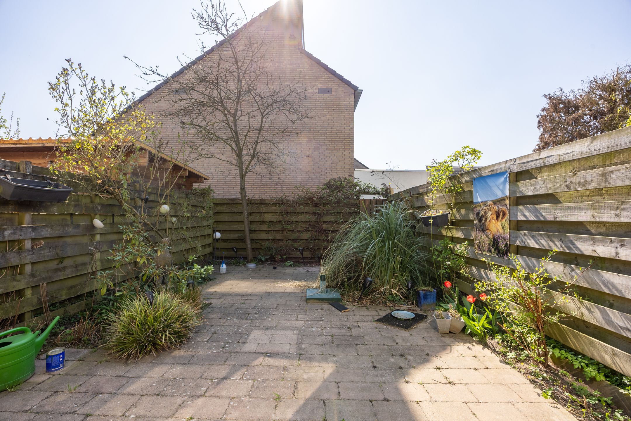 Foto 30 van Koningsholster 66