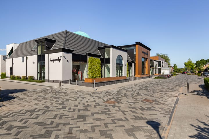 Photo 46 of Gravin Sabinastraat 47