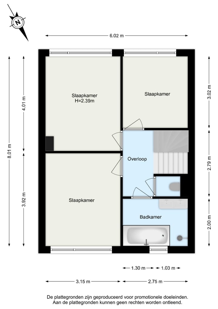 Photo 49 of Gravin Sabinastraat 47