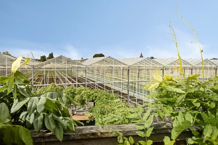 Foto 47 van Pruimendijk 262