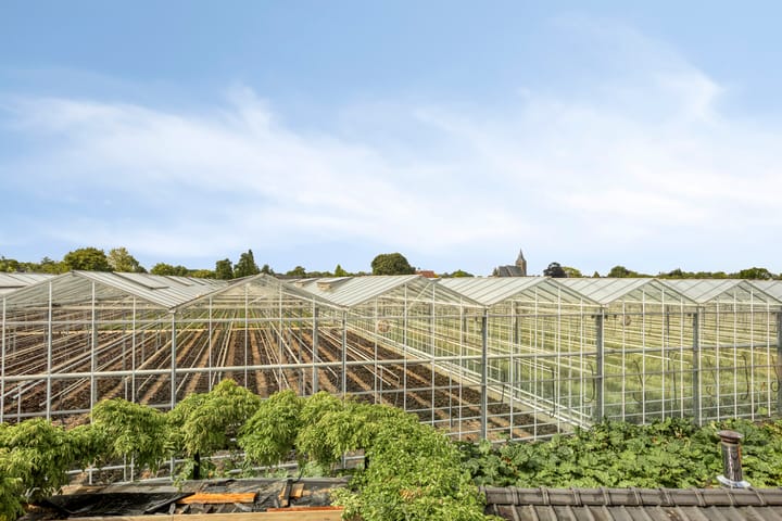 Foto 48 van Pruimendijk 262