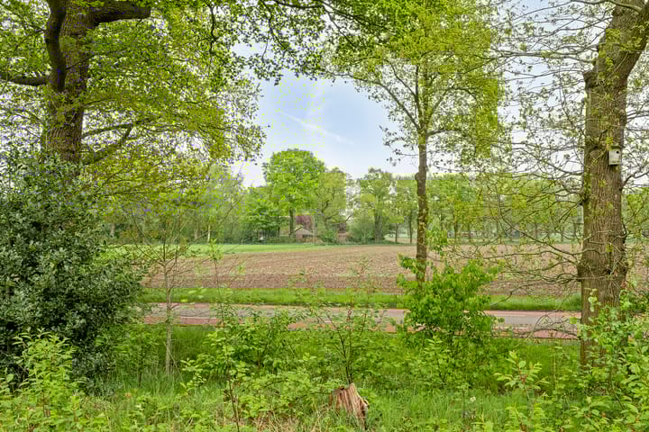 Foto 4 van Middeleeuwen 22