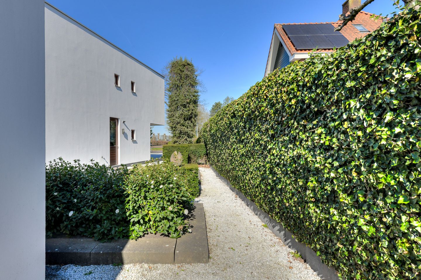 Foto 55 van Schijfstraat 168