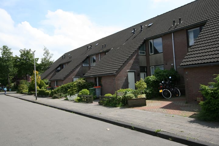 Dorsvloer 9