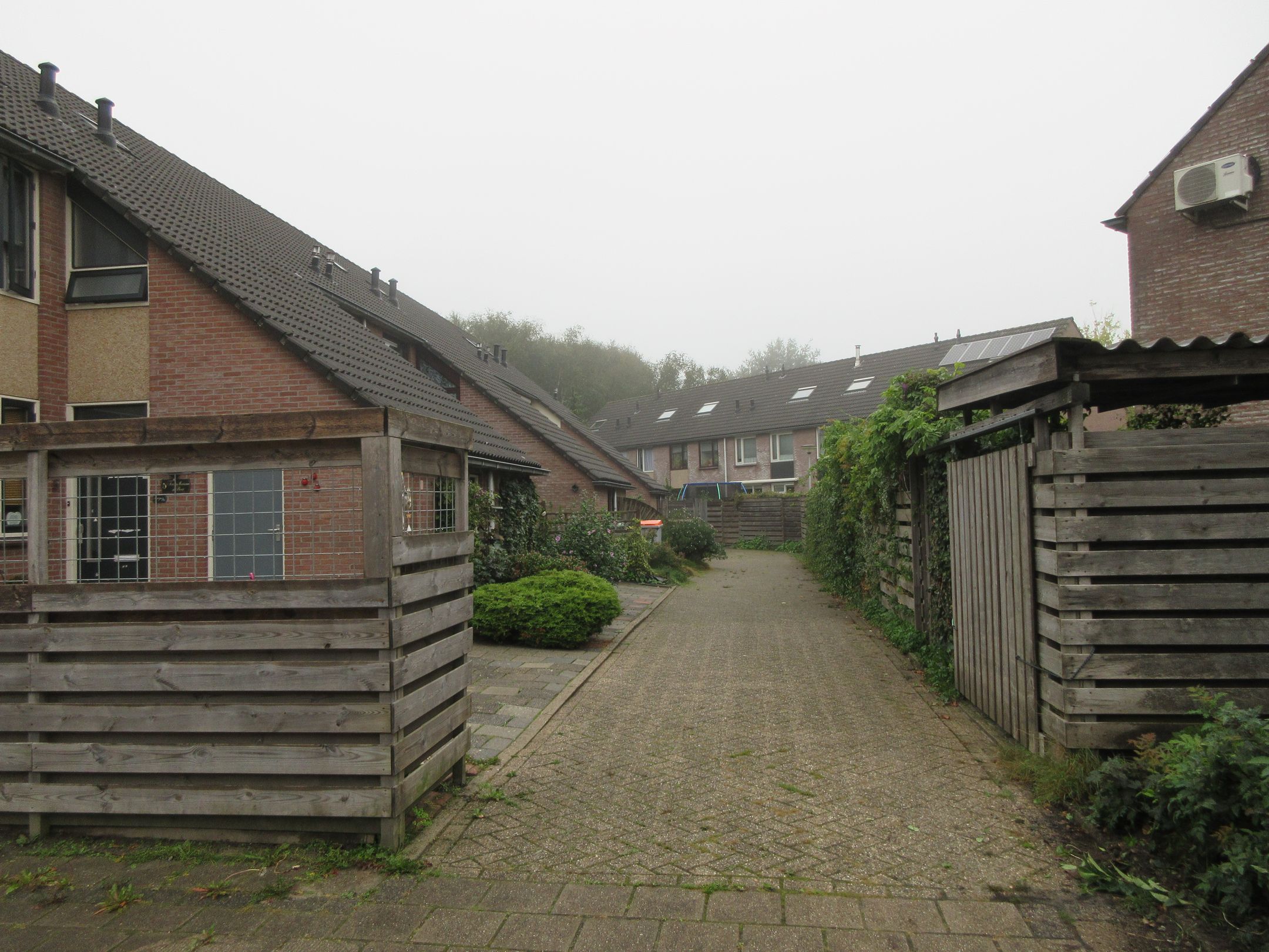 Foto 3 van Dorsvloer 9