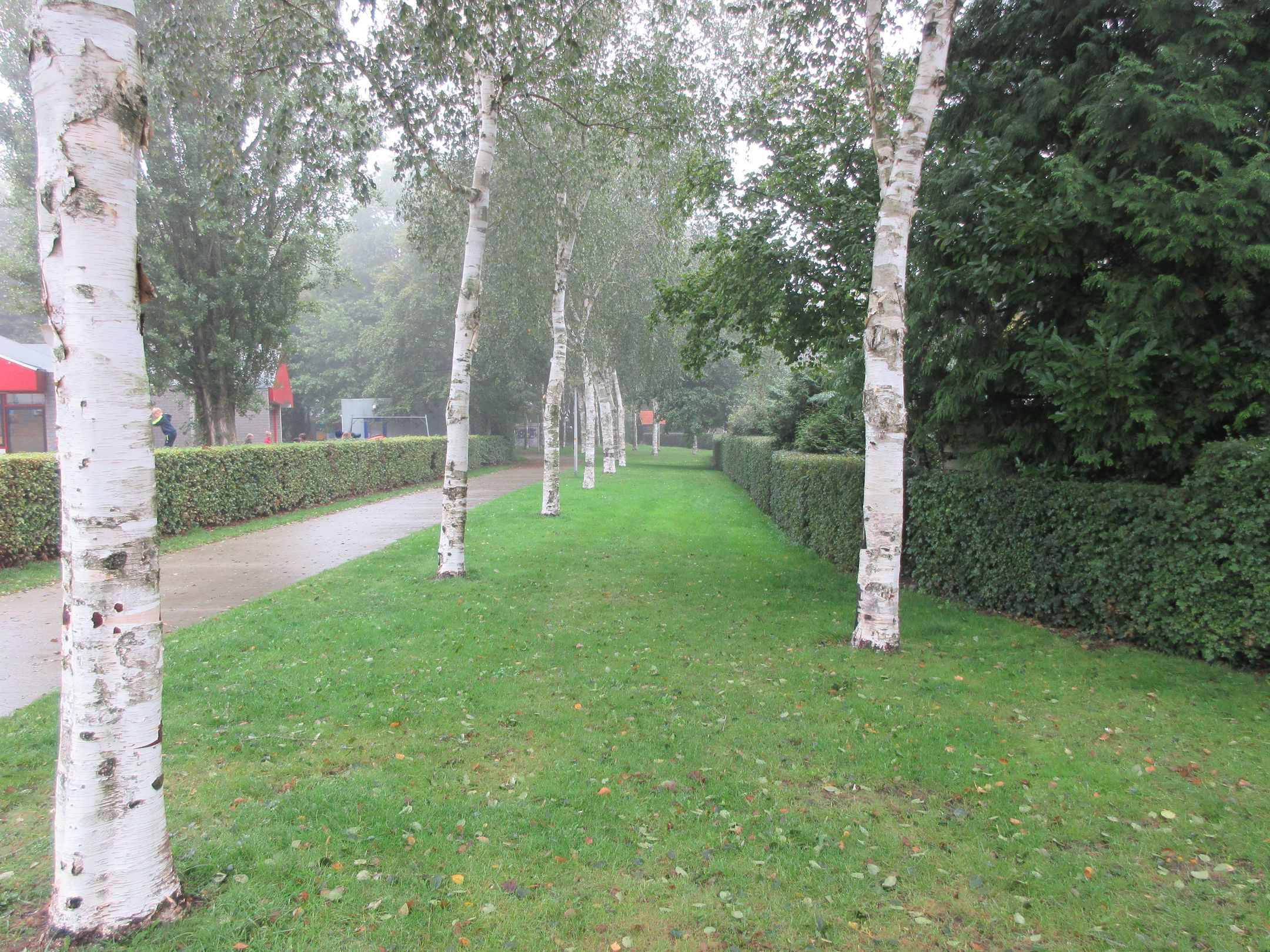 Foto 12 van Dorsvloer 9