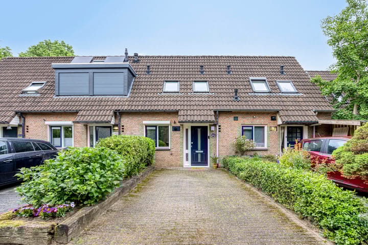 undefined main image