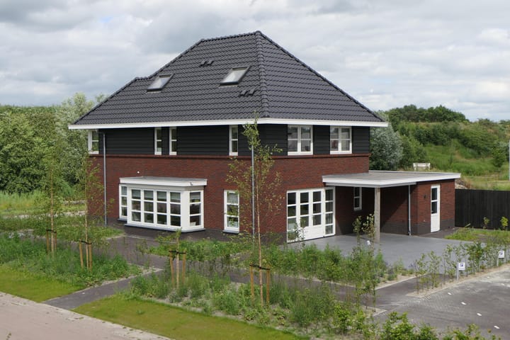 Zilverschoon 80