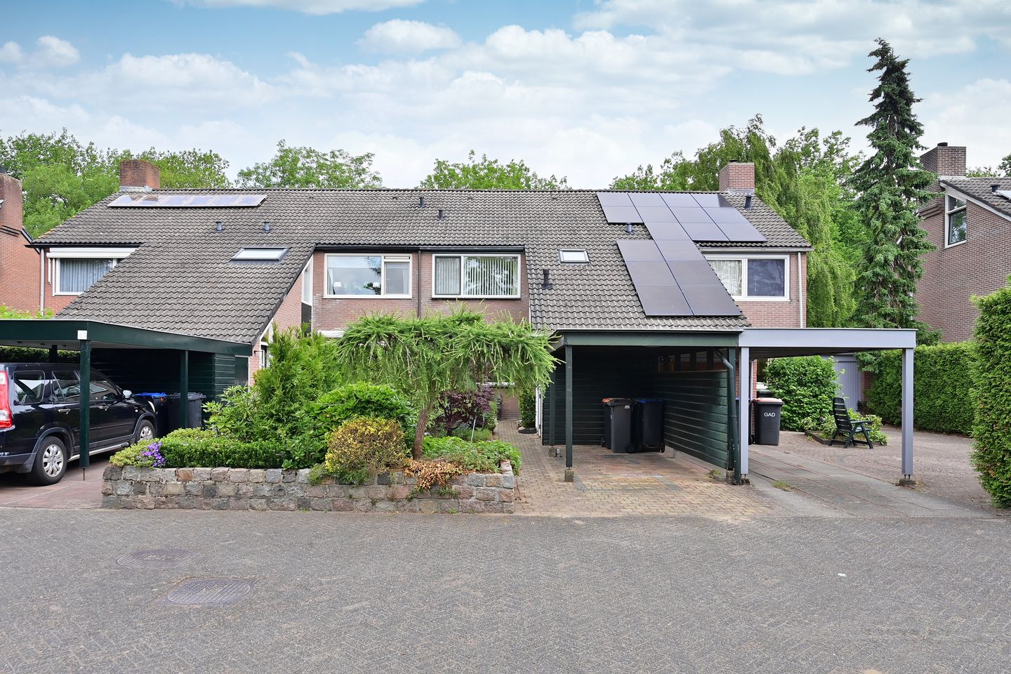 Foto 1 van Slangekruid 45