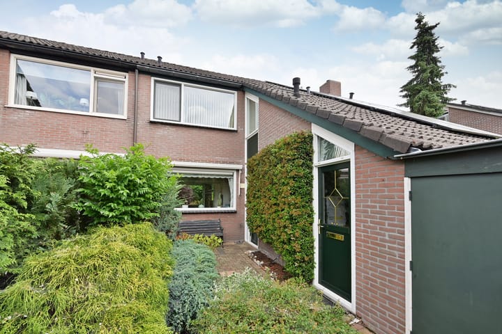 Foto 2 van Slangekruid 45