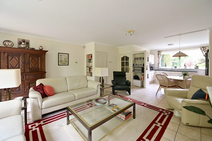 Foto 4 van Slangekruid 45