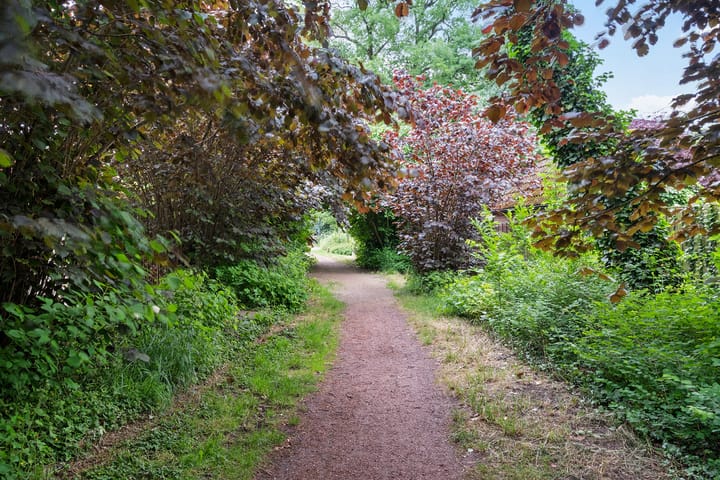 Foto 43 van Walkottelanden 7