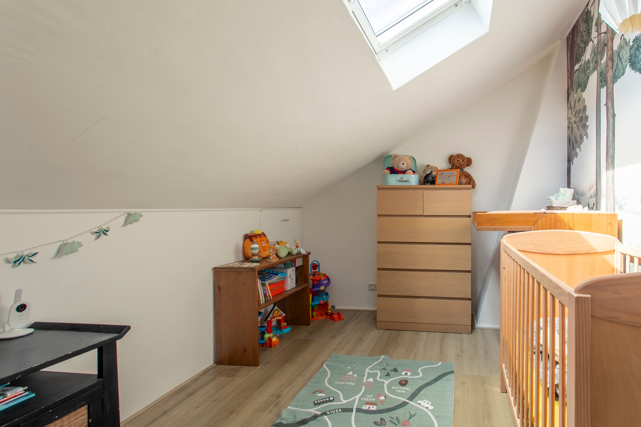 Foto 15 van Frans Halslaan 65