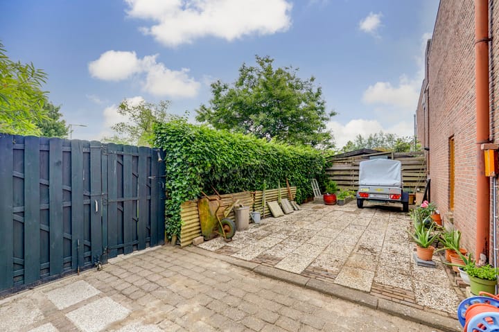 Foto 30 van de Iep 2