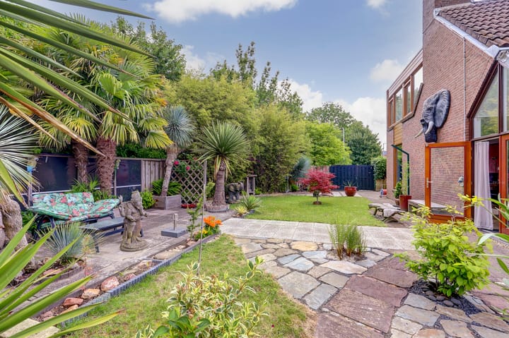 Foto 32 van de Iep 2