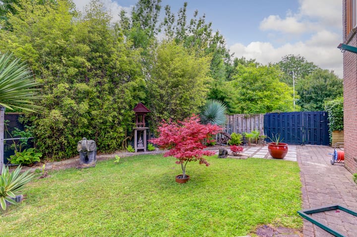 Foto 35 van de Iep 2