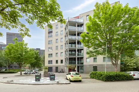 undefined main image