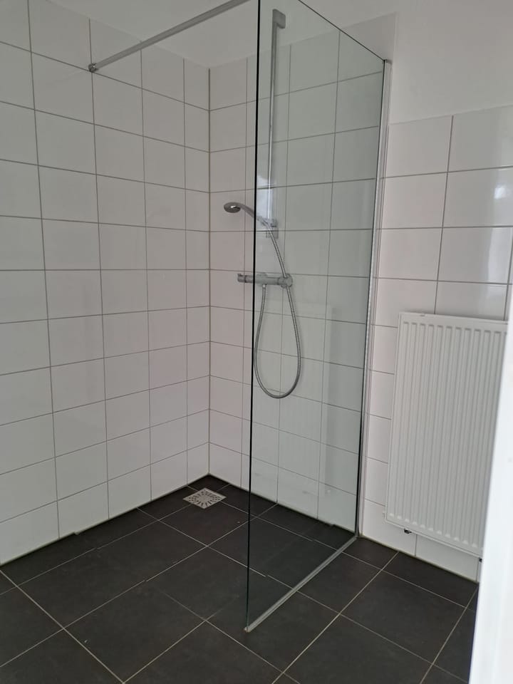 Foto 17 van Zwaanstraat 116