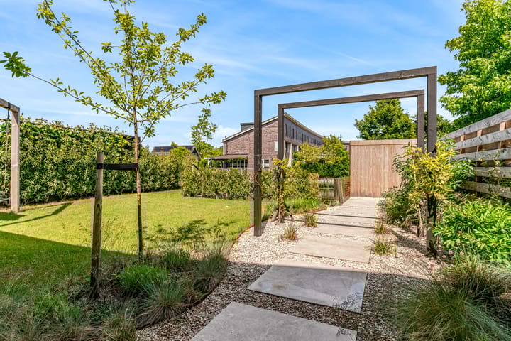 Foto 14 van Cato van der Pijlland 21