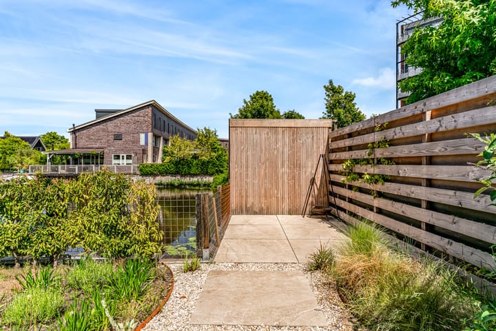 Foto 15 van Cato van der Pijlland 21