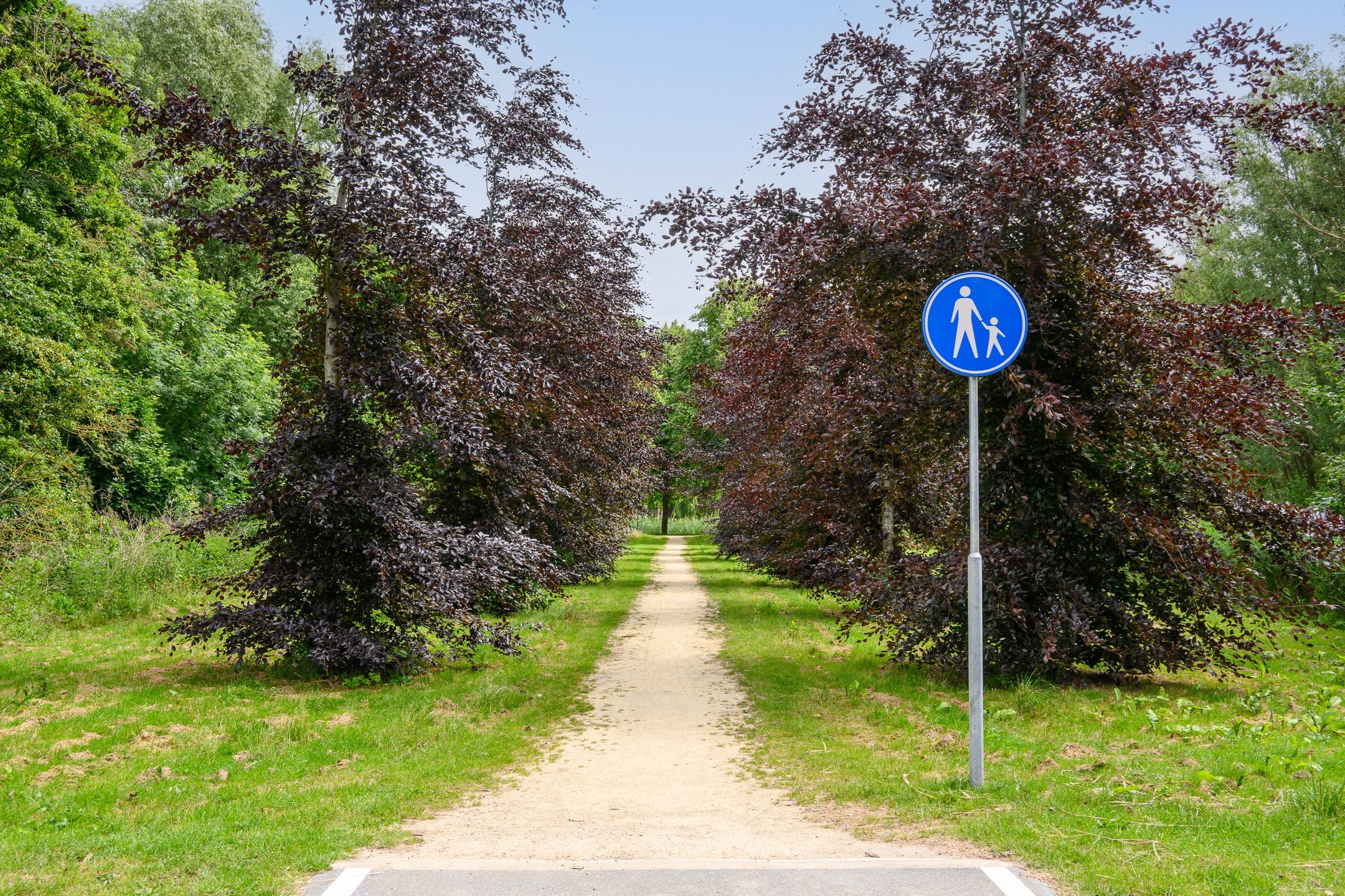 Photo 21 of Adrienne Solserstraat 26