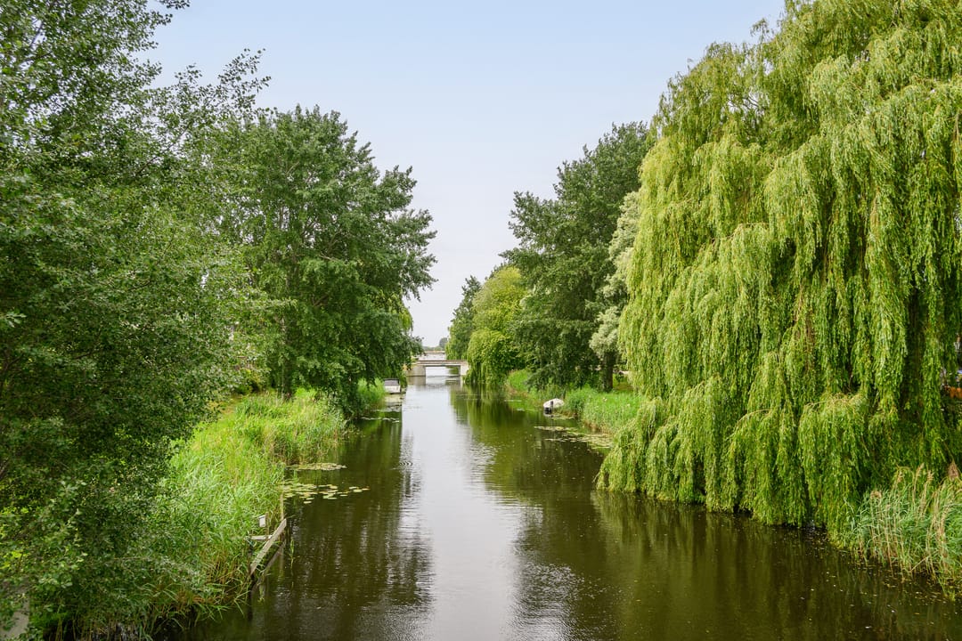 Photo 22 of Adrienne Solserstraat 26