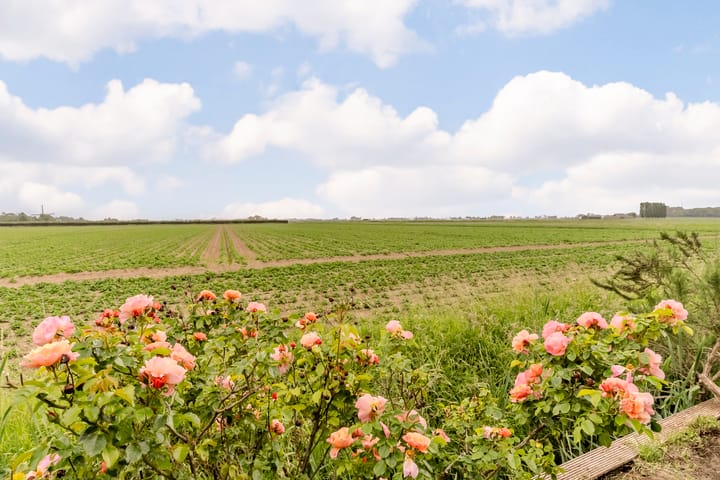 Photo 7 of Buitendijk 134