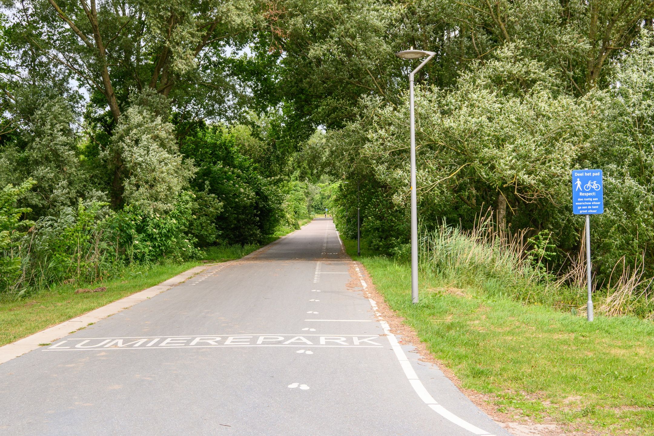 Photo 24 of Adrienne Solserstraat 26