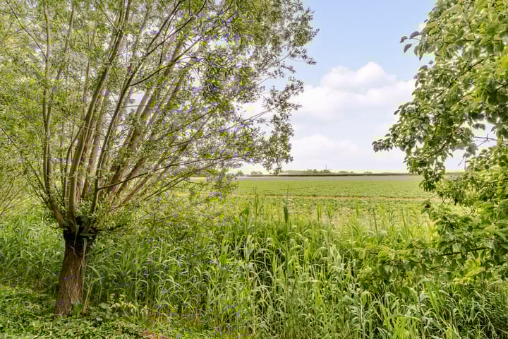 Photo 45 of Buitendijk 134