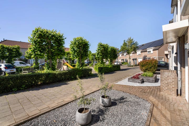 Foto 9 van Paltrokmolen 29