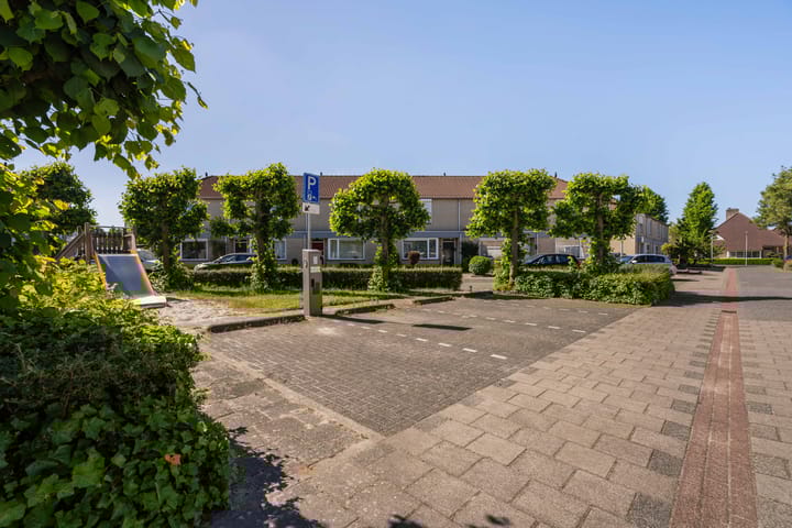 Foto 41 van Paltrokmolen 29