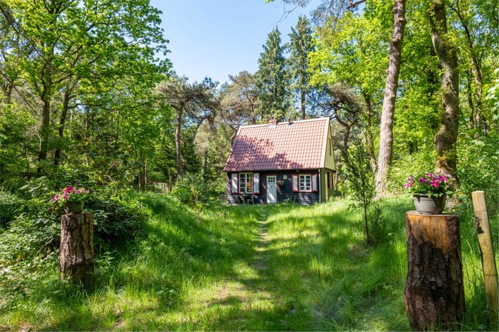 Foto 1 van Hertenpad 14