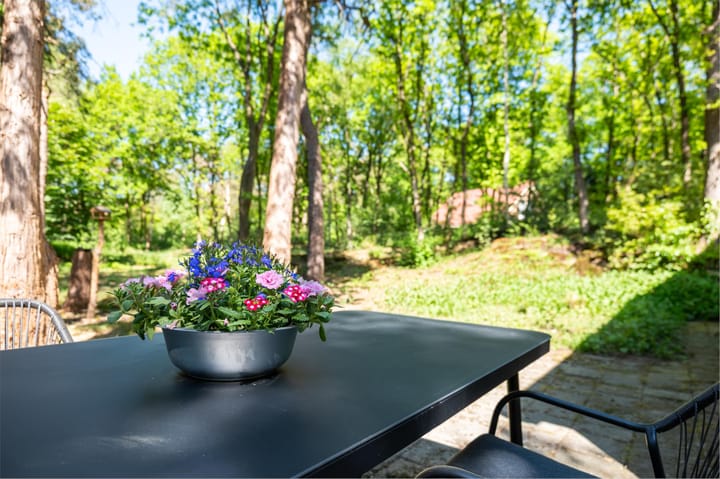 Foto 37 van Hertenpad 14