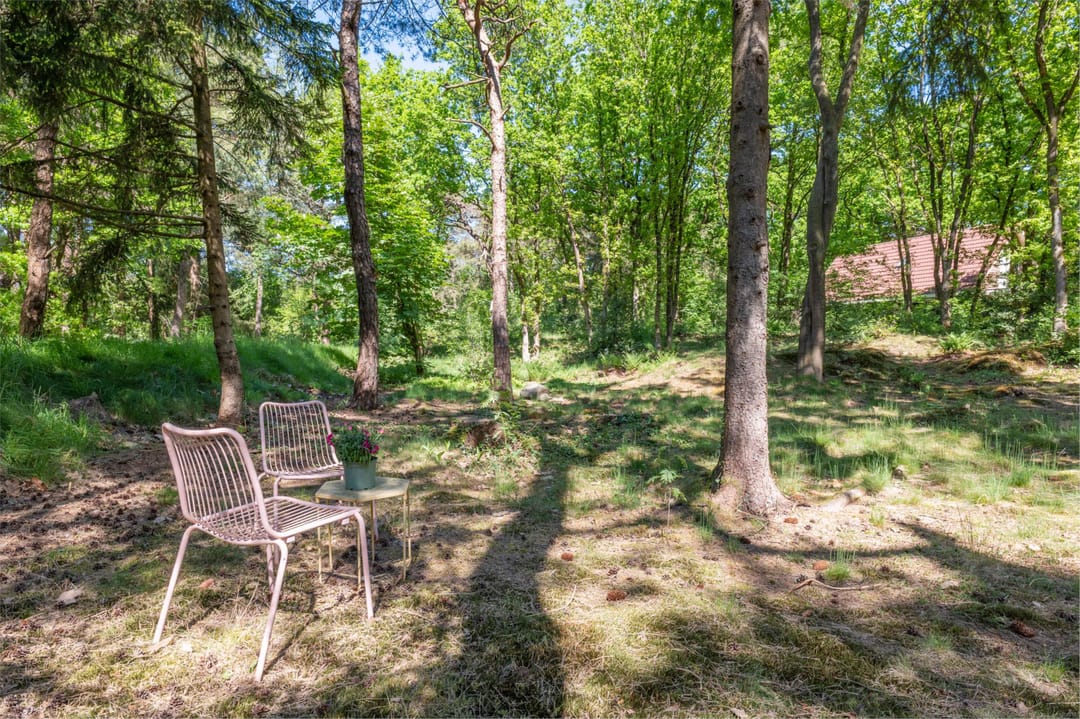 Photo 38 of Hertenpad 14