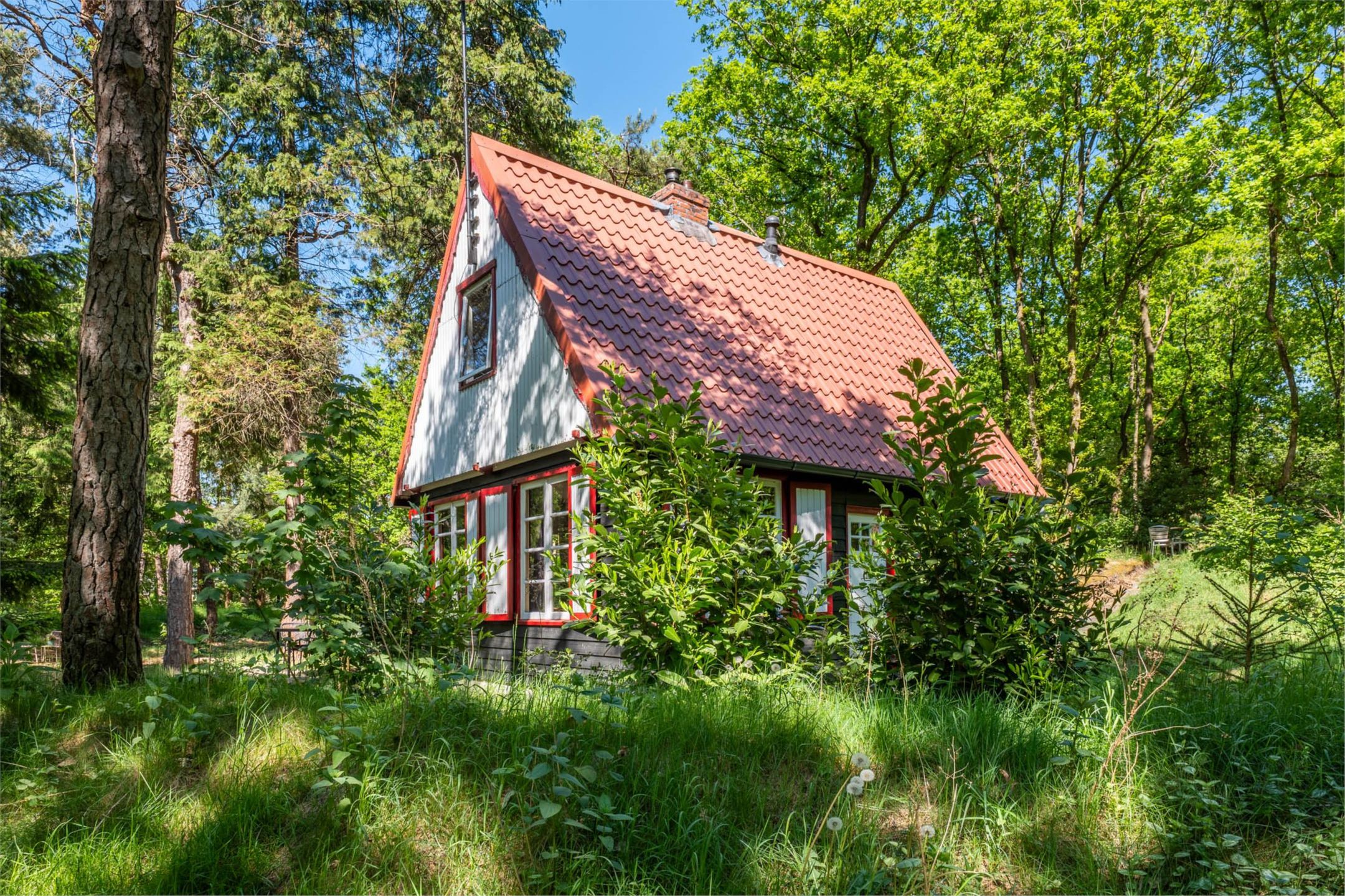 Photo 45 of Hertenpad 14