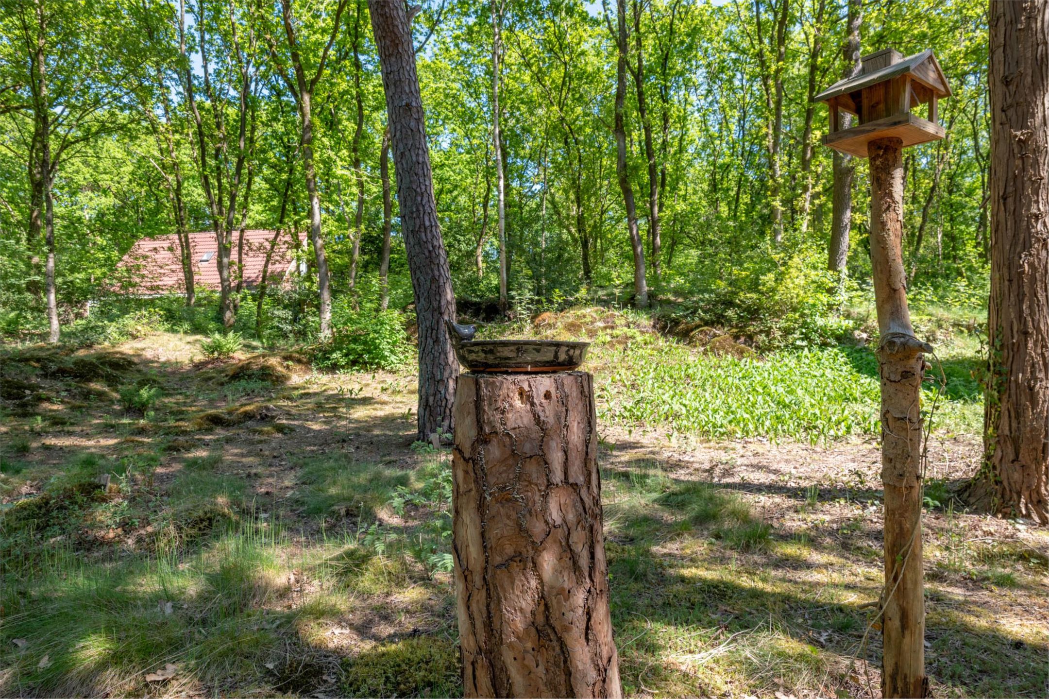 Photo 39 of Hertenpad 14